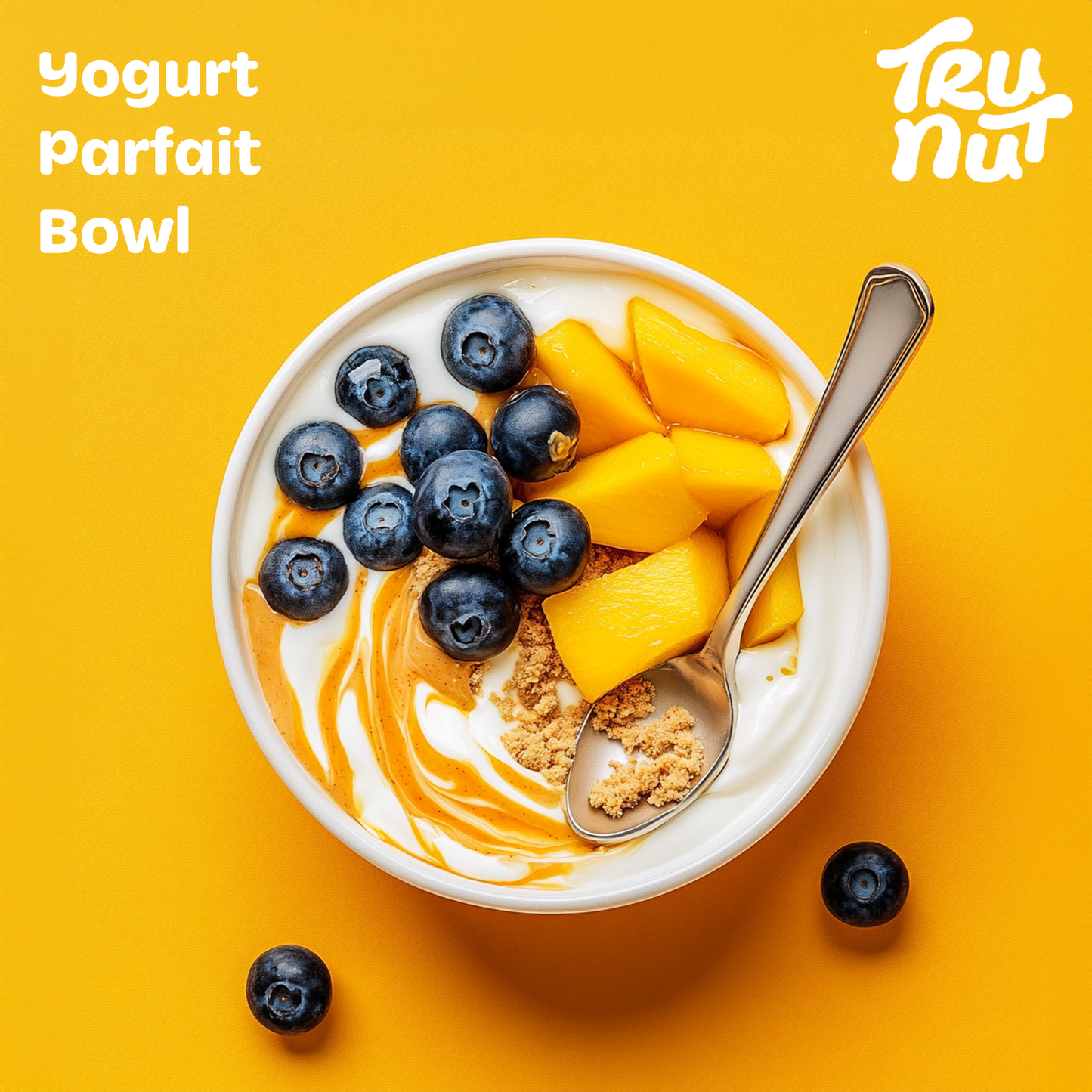 Tru-Nut Pure Roasted Peanut Powder